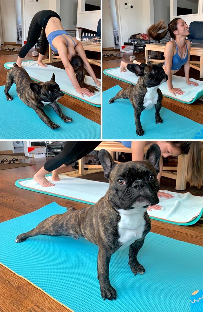 Haciendo yoga