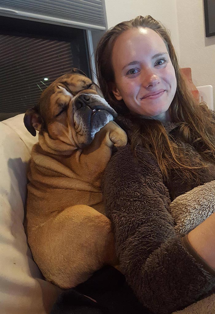 Así es como duerme mi perro ahora mismo