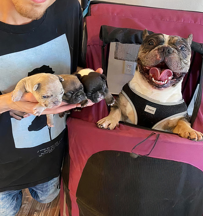 Cuando Ravioli vio a sus cachorros por primera vez