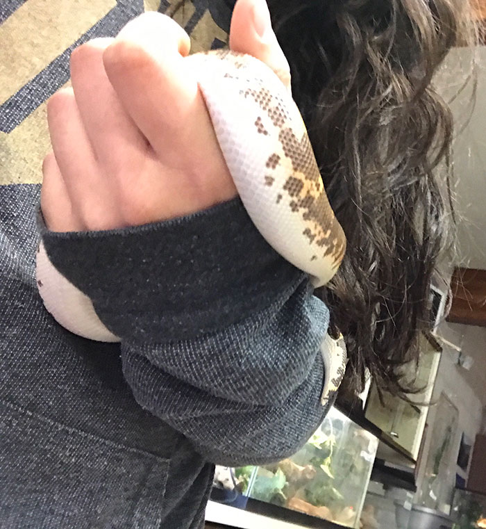 Este chico sospechaba que su novia lo estaba engañando porque le mintió sobre dónde estaba pero la situación tuvo un giro mucho más adorable