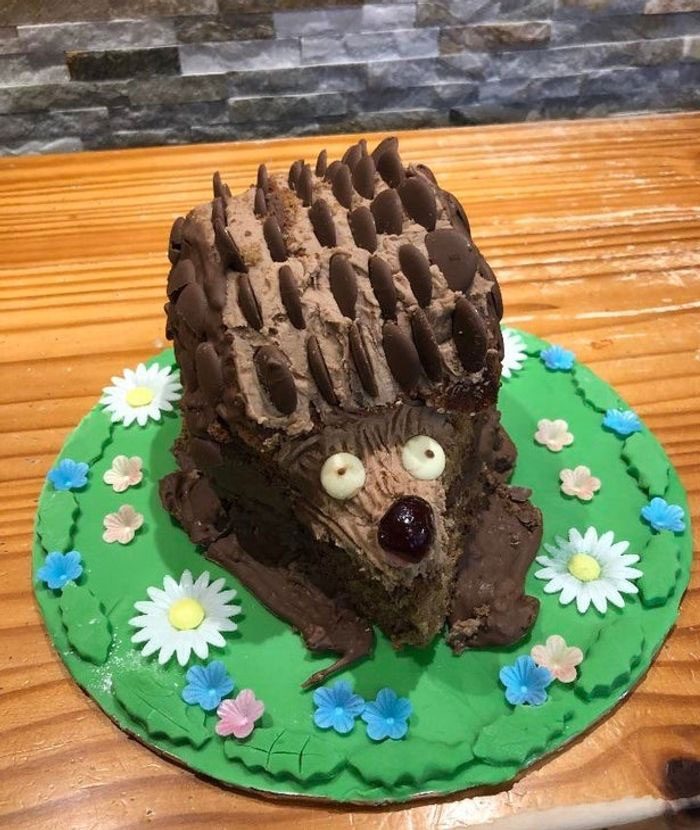 Mi madre sabe que me gustan los erizos, dijo que no podía entrar en la cocina en todo el día y se pasó todo el día haciéndome una tarta de cumpleaños sorpresa. Te quiero mamá