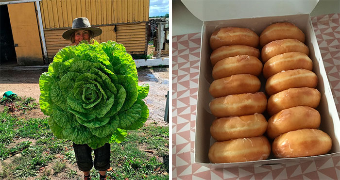 40 Veces que a la gente le tocó la lotería con la comida (nuevas fotos)