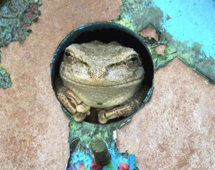 Saludos