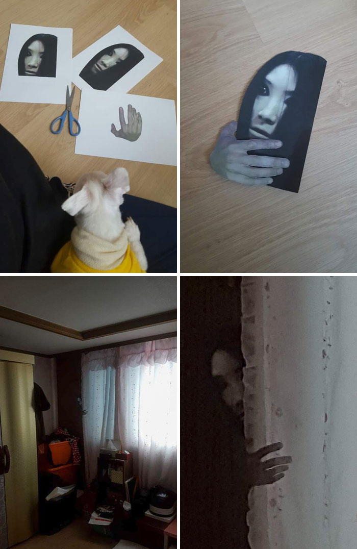 Bien, estoy preparando una broma a mi hermana, esperemos que se cague en los pantalones