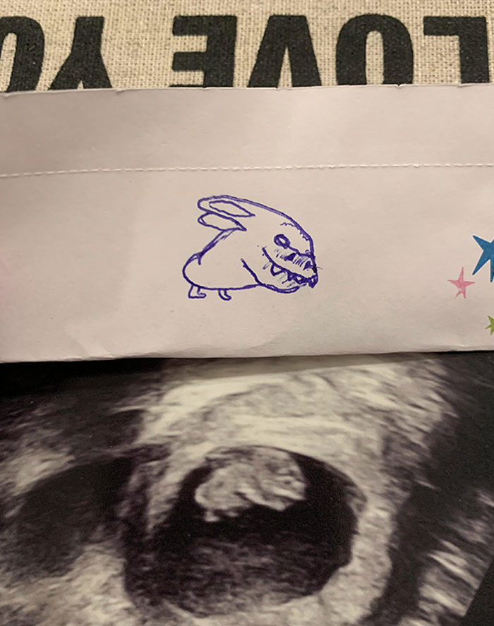He descubierto que voy a ser tío. Mi hermana no estaba muy contenta con mi interpretación de su ecografía al revés