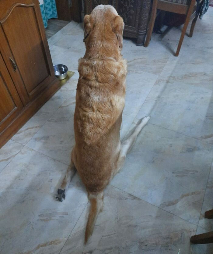 Estaba seguro de que la foto estaba retocada pero luego recordé que me la envió mi papá