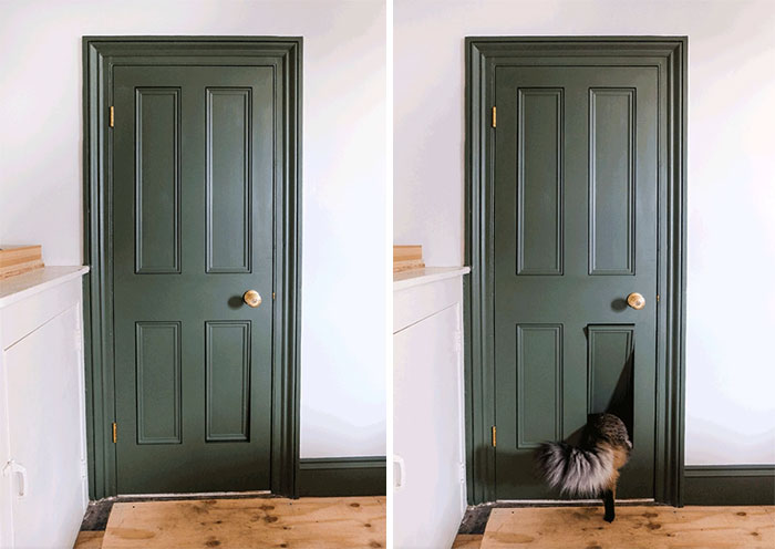 Esta puerta con una entrada para gatos oculta 