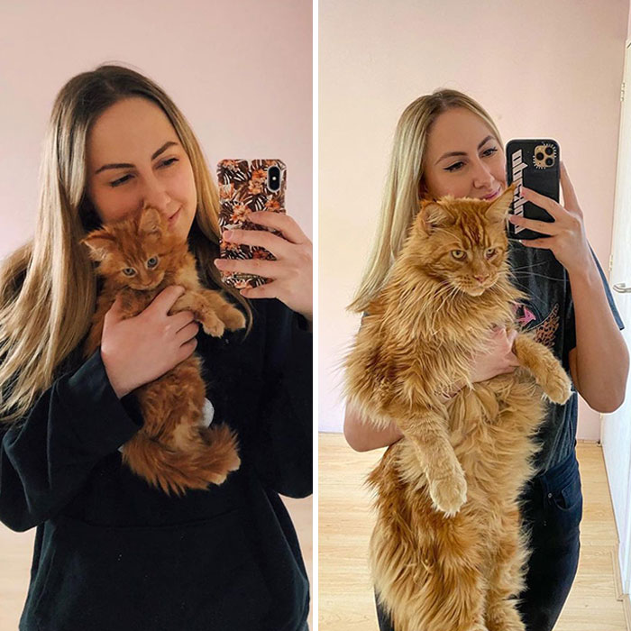 2019 vs. 2021