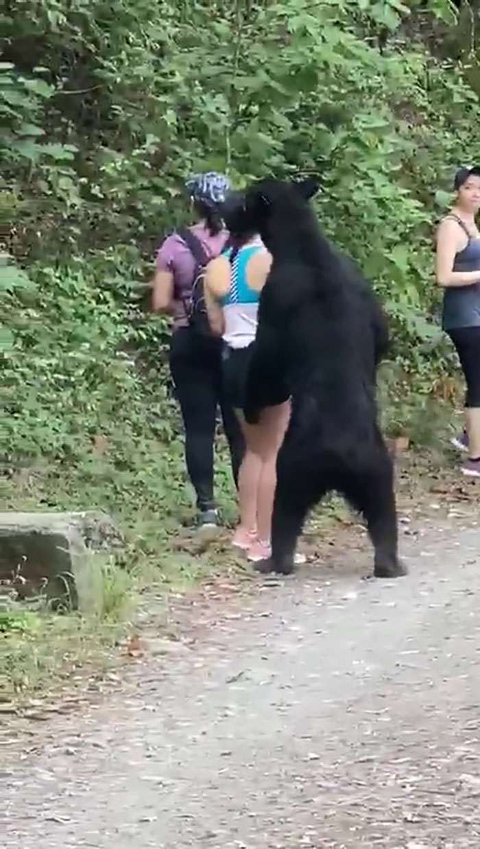 "¡Sin duda la cosa más loca que he encontrado!": Un cazador encuentra una cámara perdida con imágenes grabadas por un oso