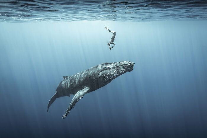 Fotógrafo de Aventuras Oceánicas: Sebastien Pontoizeau