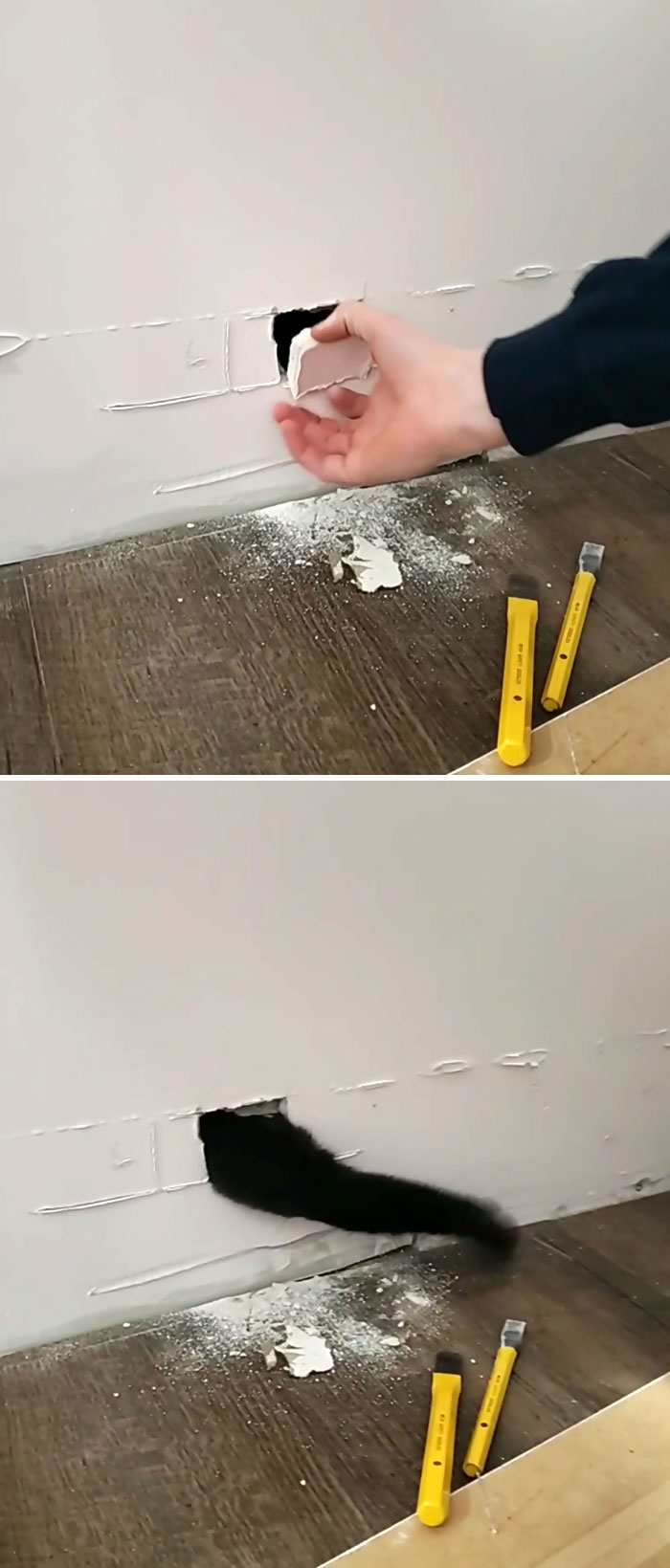 Cat Owners Share The Weirdest Places Their Cats End Up In (50 Pics)