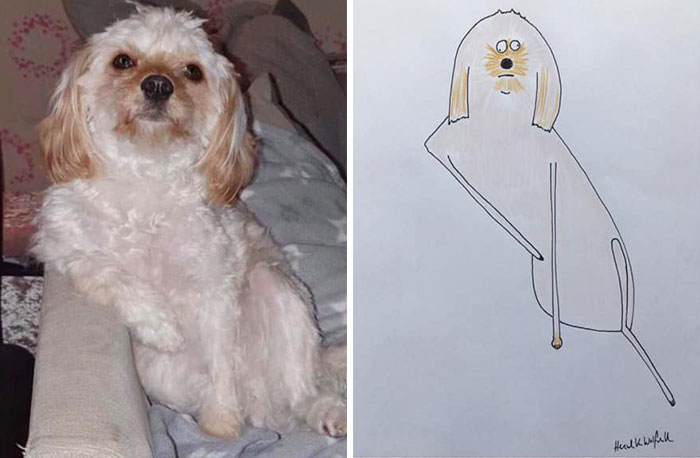 30 Animal Portraits Drawn So Badly, They Look Like Masterpieces
