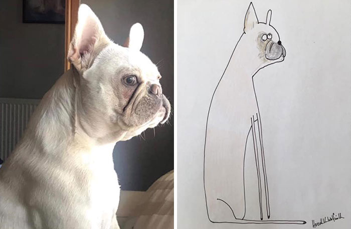 30 Animal Portraits Drawn So Badly, They Look Like Masterpieces