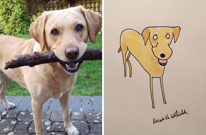 30 Animal Portraits Drawn So Badly, They Look Like Masterpieces