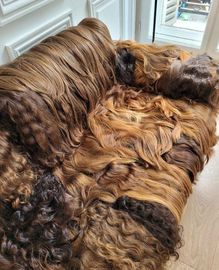 He encontrado un pelo en tu camiseta. ¿Quién es ella?
