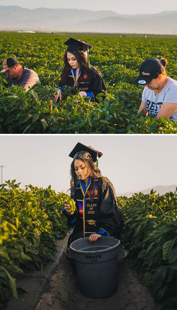 Jennifer Rocha se tomó sus fotos de graduación en los campos de California donde, durante muchos años, trabajó junto a sus padres inmigrantes recolectando vegetales