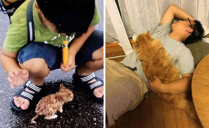 Una amistad adorable 