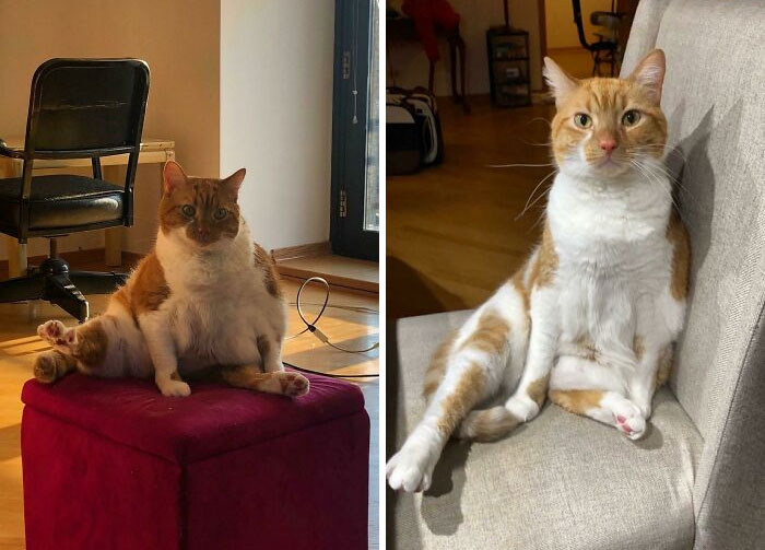 ¡La dieta de Phoebe va muy bien!