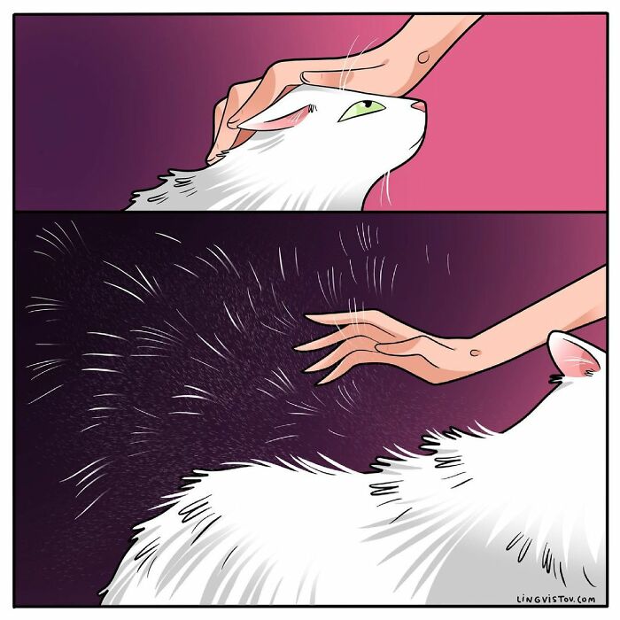 Artist Illustrates What It's Like To Live With A Cat (30 New Pics)
