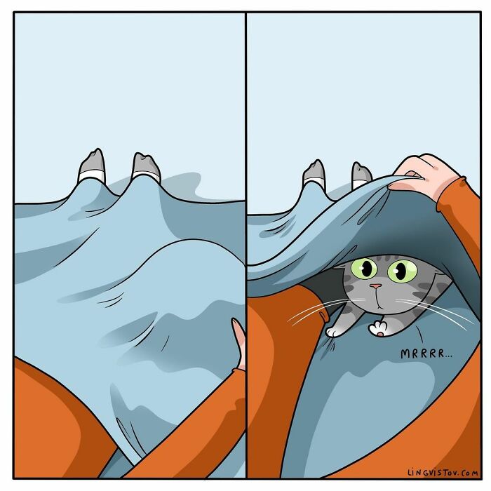 Artist Illustrates What It's Like To Live With A Cat (30 New Pics)