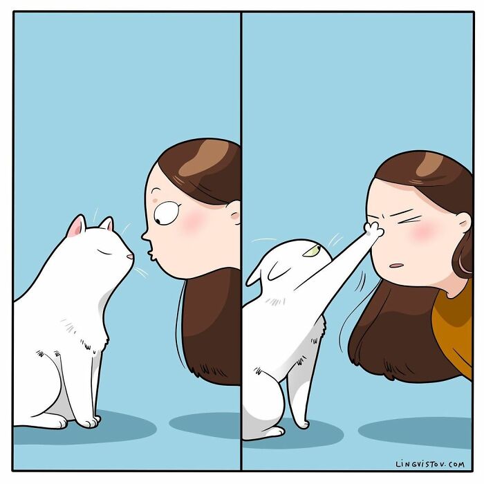 Artist Illustrates What It's Like To Live With A Cat (30 New Pics)