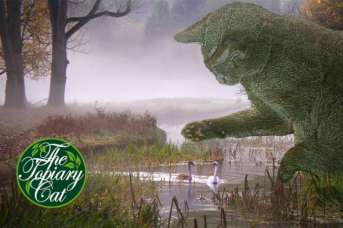 This 75-Year-Old Artist Creates Edits Of Bushes In Honor Of His Deceased Cat