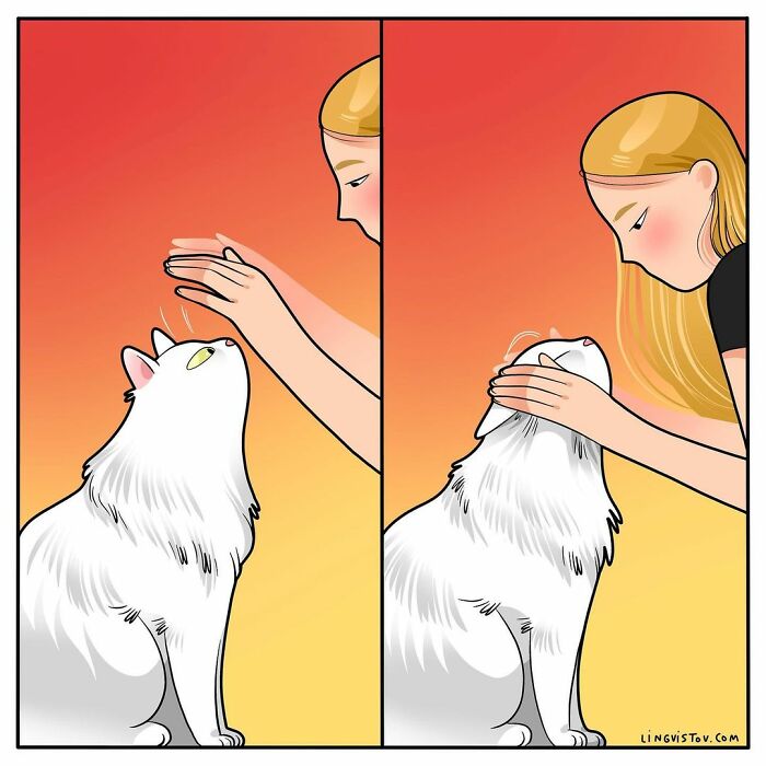 Artist Illustrates What It's Like To Live With A Cat (30 New Pics)