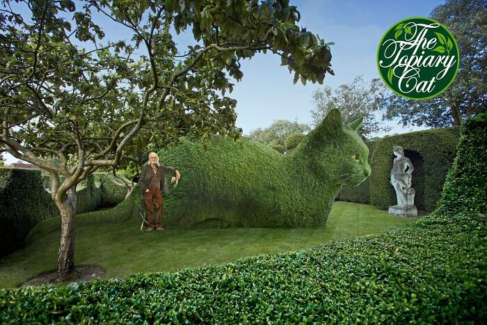 This 75-Year-Old Artist Creates Edits Of Bushes In Honor Of His Deceased Cat