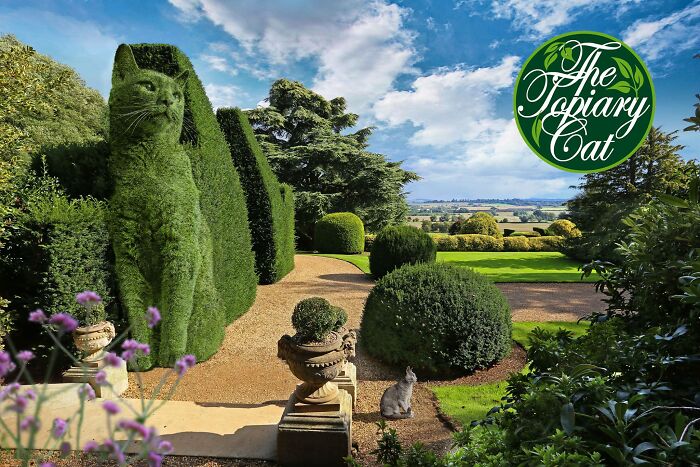 This 75-Year-Old Artist Creates Edits Of Bushes In Honor Of His Deceased Cat