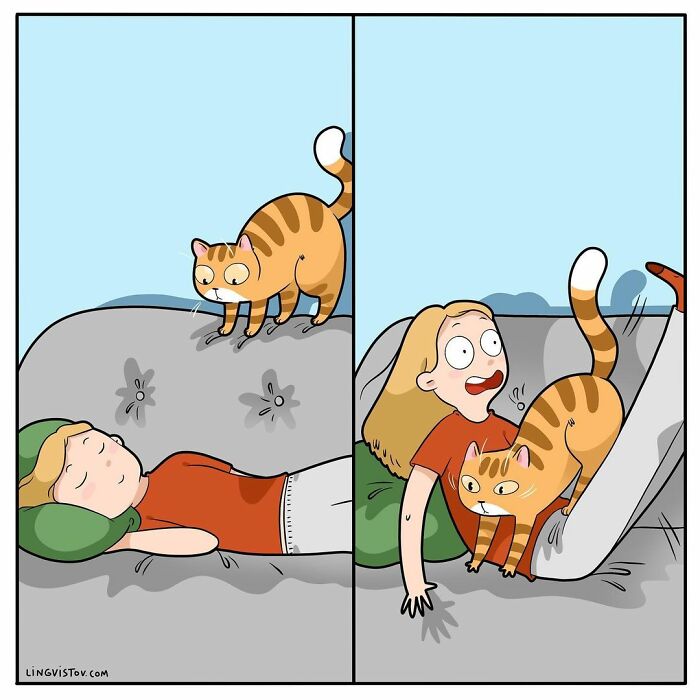 Artist Illustrates What It's Like To Live With A Cat (30 New Pics)
