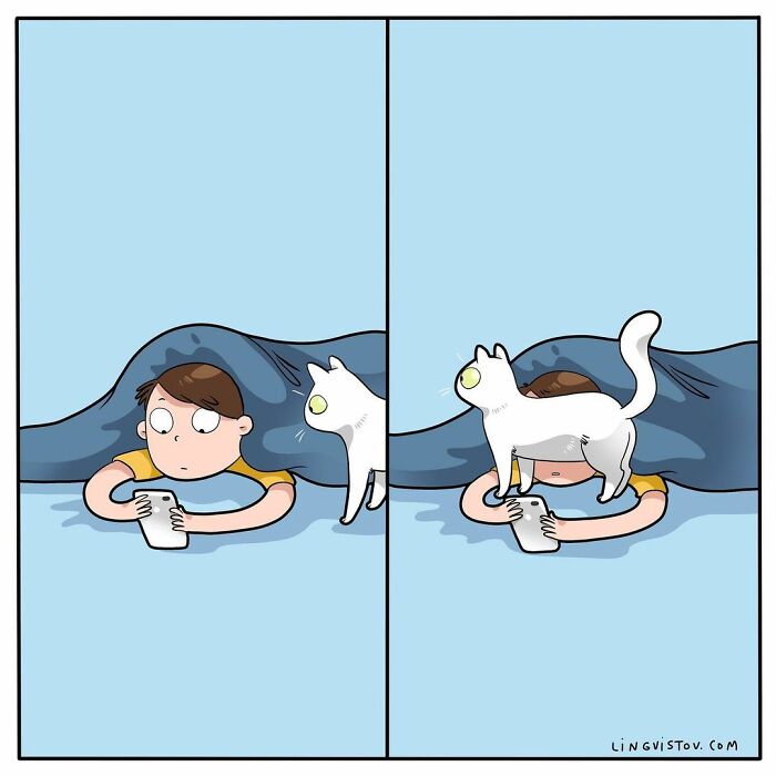 Artist Illustrates What It's Like To Live With A Cat (30 New Pics)