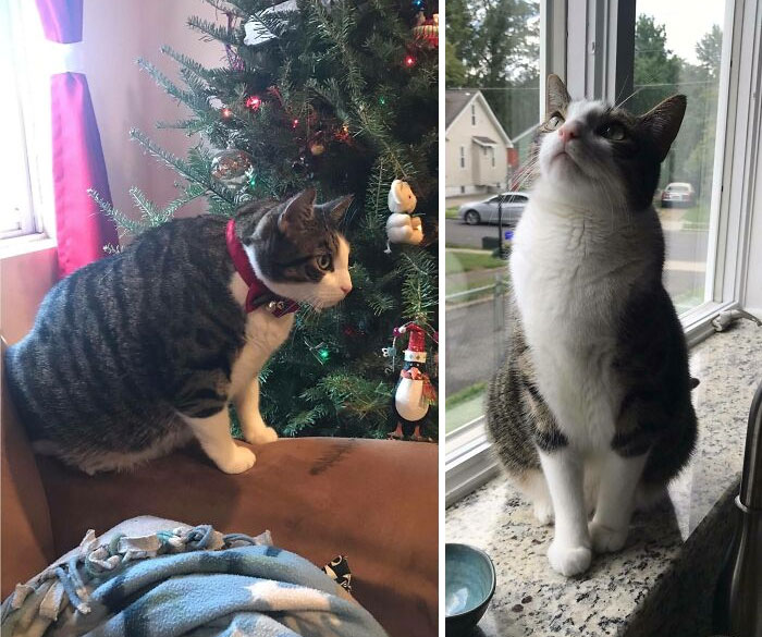 ¡Eli perdió el peso equivalente a un gato entero! De 10 kg a 6 kg