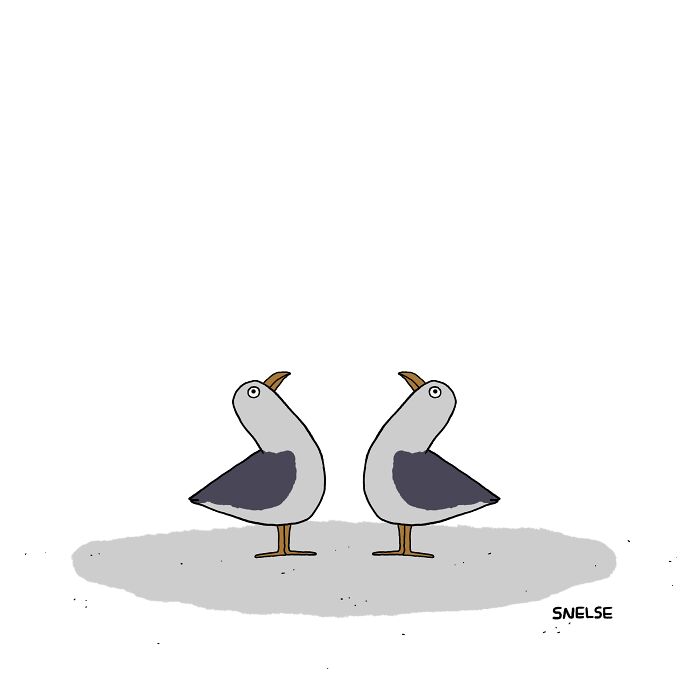 2 Pájaros, 1 Piedra