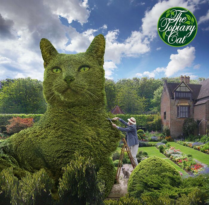 This 75-Year-Old Artist Creates Edits Of Bushes In Honor Of His Deceased Cat