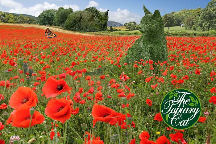 This 75-Year-Old Artist Creates Edits Of Bushes In Honor Of His Deceased Cat