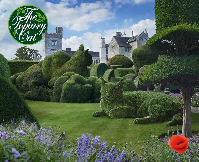 This 75-Year-Old Artist Creates Edits Of Bushes In Honor Of His Deceased Cat