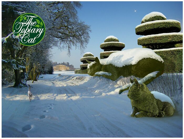 This 75-Year-Old Artist Creates Edits Of Bushes In Honor Of His Deceased Cat