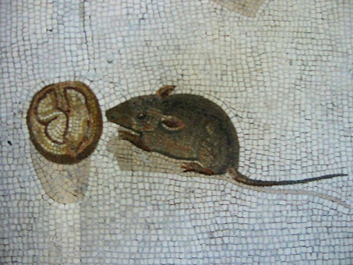 50 Very Old Human Creations That Still Surprise Us Today, As Shared In This Online Group