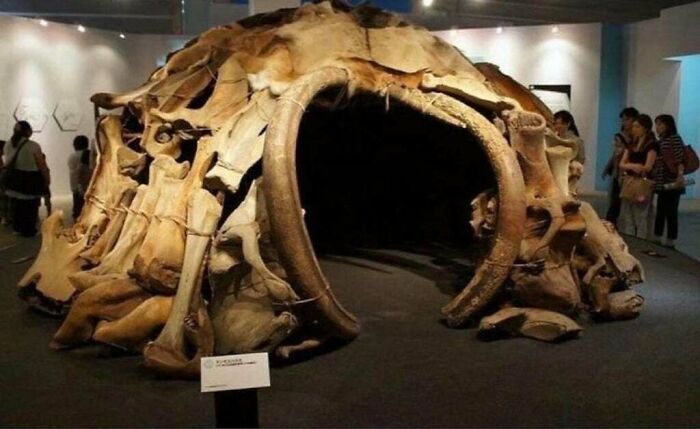 50 Very Old Human Creations That Still Surprise Us Today, As Shared In This Online Group