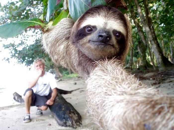 Un amigo y yo estábamos fumando porros en una playa en Costa Rica, cuando este amigo bajó de un árbol a ver qué hacíamos, y nos hicimos un selfie