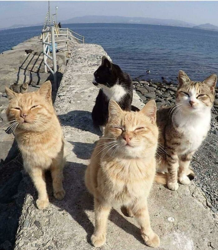 Una nueva banda de rock 