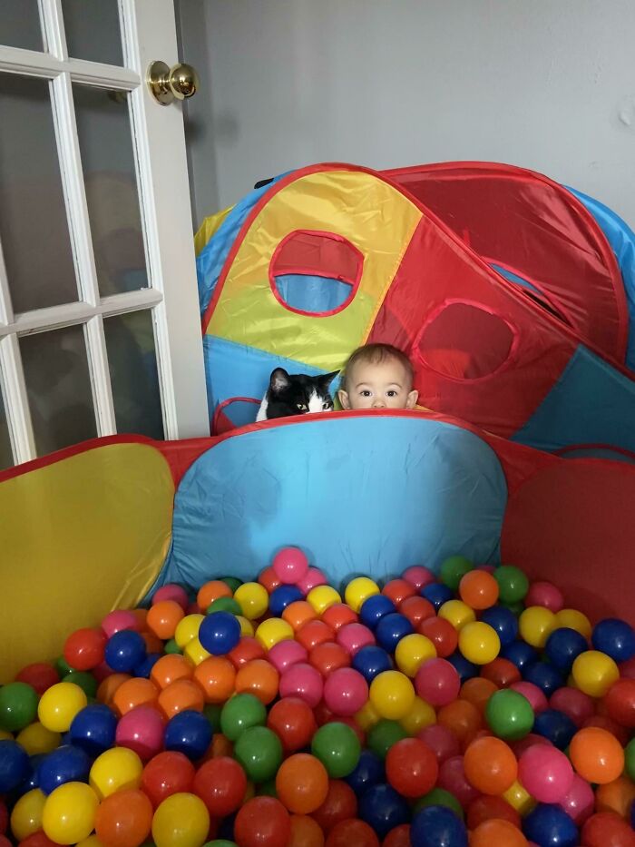 Mi hija y nuestro gato parecen estar tramando algo 