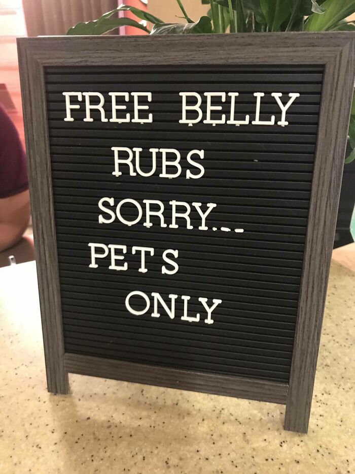 En la consulta de mi veterinario local