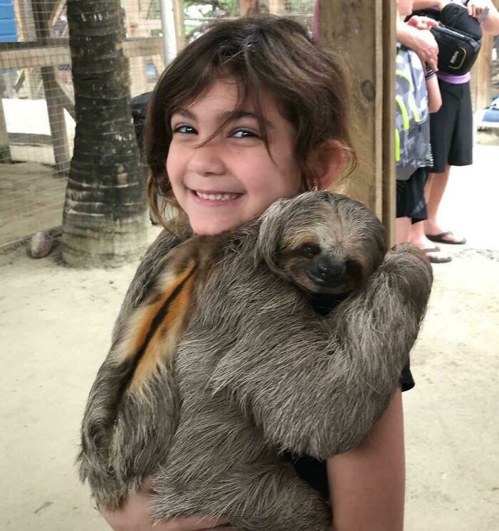 Mi primita con un perezoso