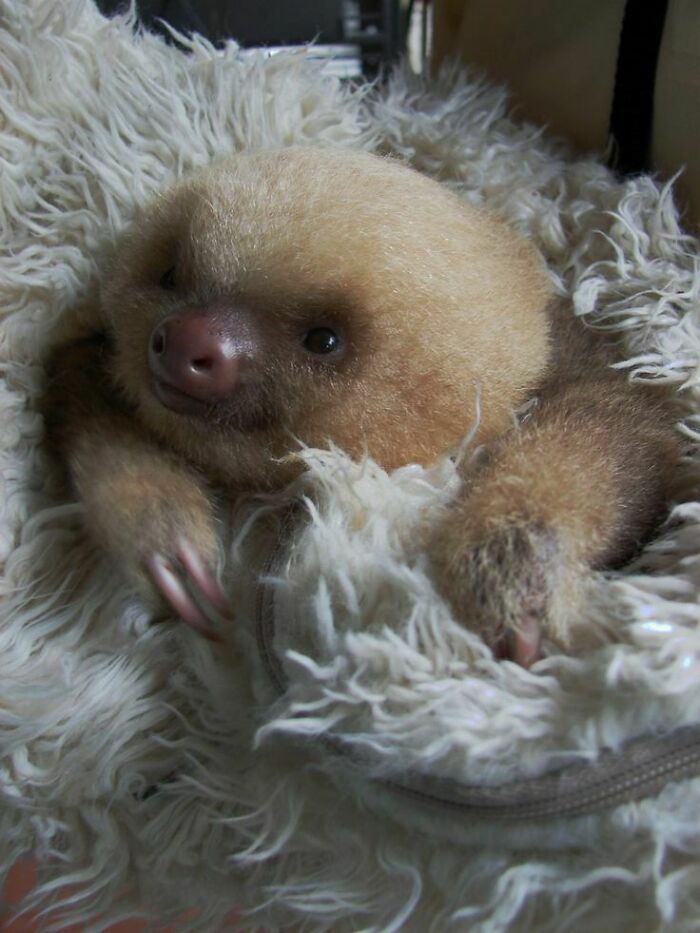 Listo para dormir