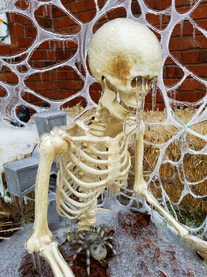 Decoración de Halloween cubierta de hielo 