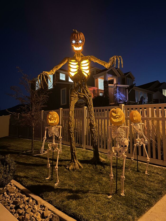 El rey de las calabazas domina el mundo