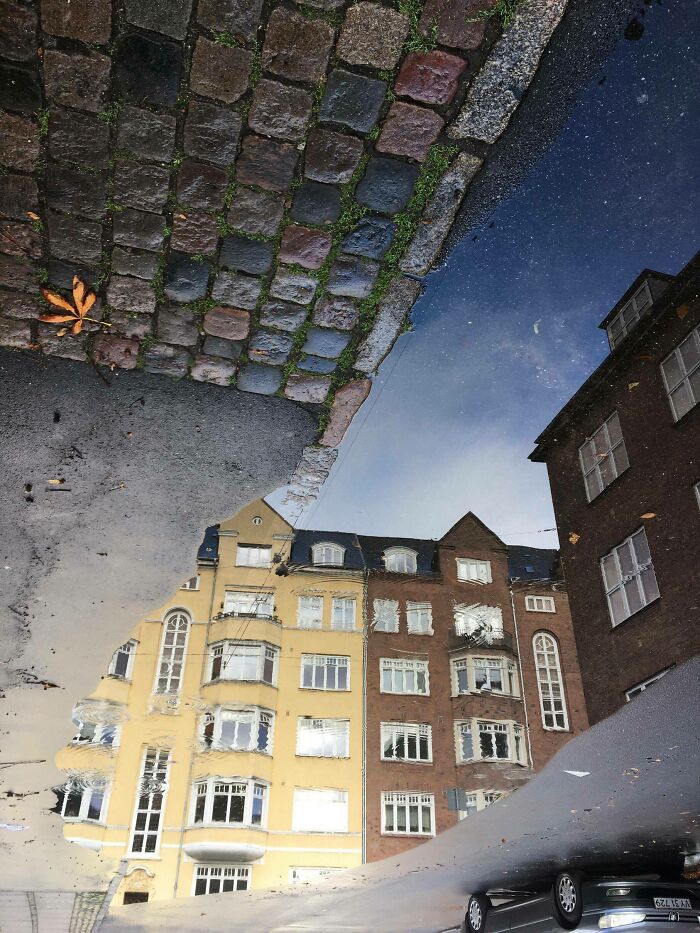 Reflejos