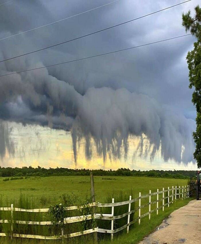Estas se llaman nubes Scud. Esto fue capturado recientemente en Carolina del Sur