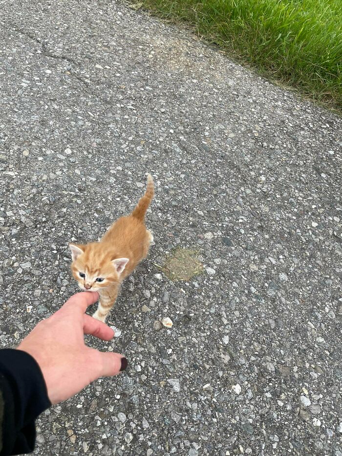 Salí de caza, pero volví con Frank a mi hogar